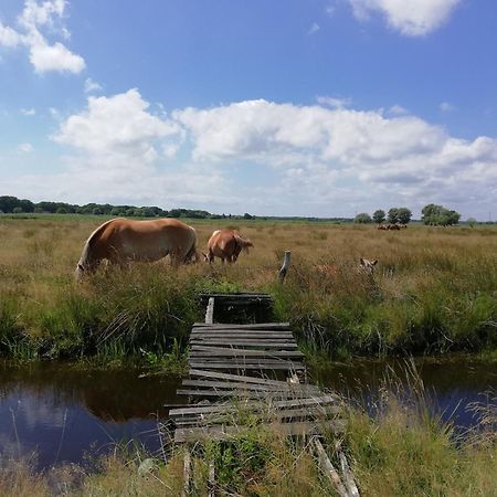 Dom Goscinny Ptaszarnia - Natura-Free Parking Świnoujście Esterno foto