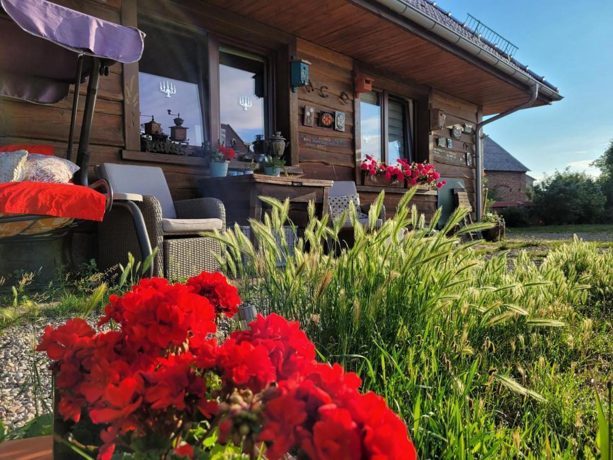 Dom Goscinny Ptaszarnia - Natura-Free Parking Świnoujście Esterno foto