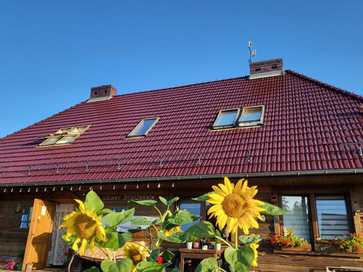 Dom Goscinny Ptaszarnia - Natura-Free Parking Świnoujście Esterno foto