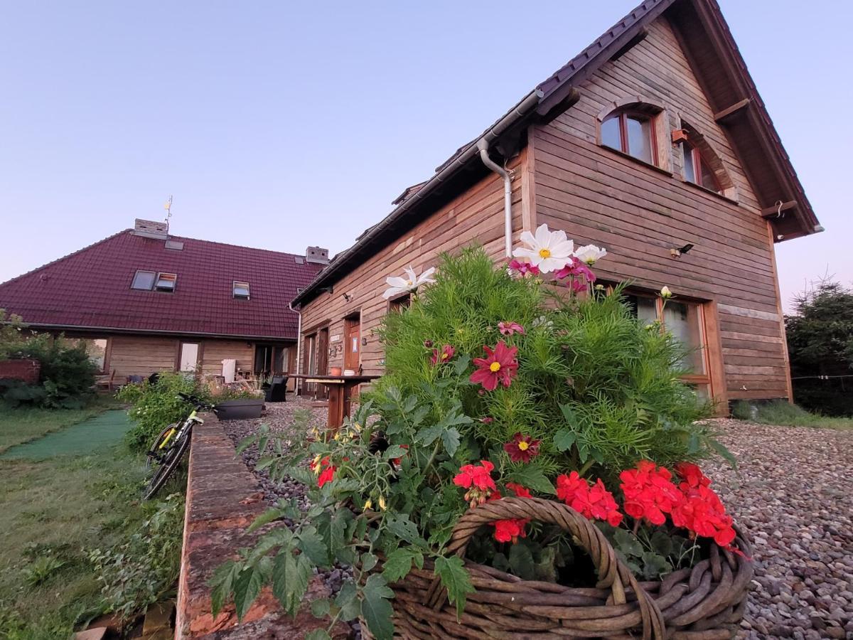 Dom Goscinny Ptaszarnia - Natura-Free Parking Świnoujście Esterno foto
