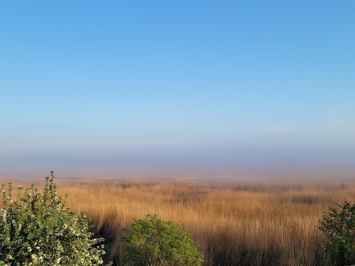Dom Goscinny Ptaszarnia - Natura-Free Parking Świnoujście Esterno foto