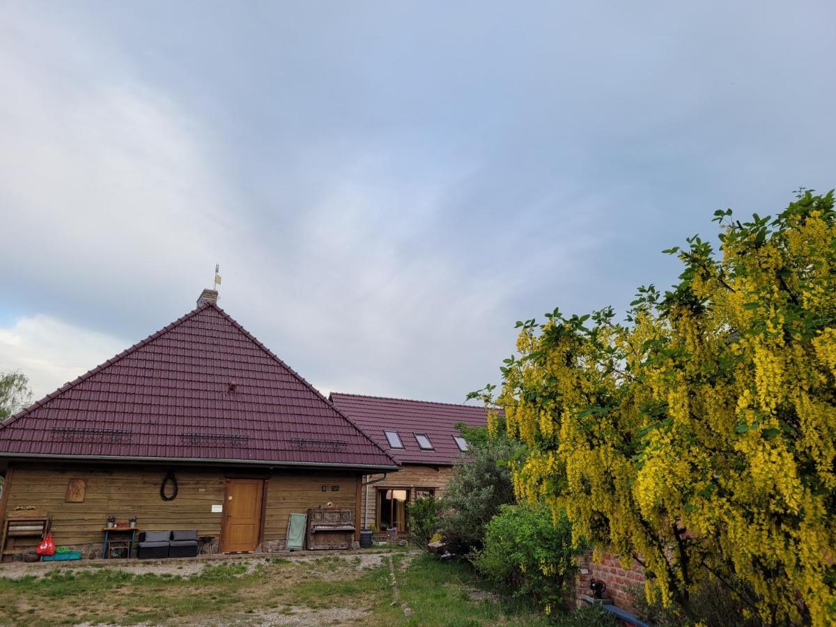 Dom Goscinny Ptaszarnia - Natura-Free Parking Świnoujście Esterno foto
