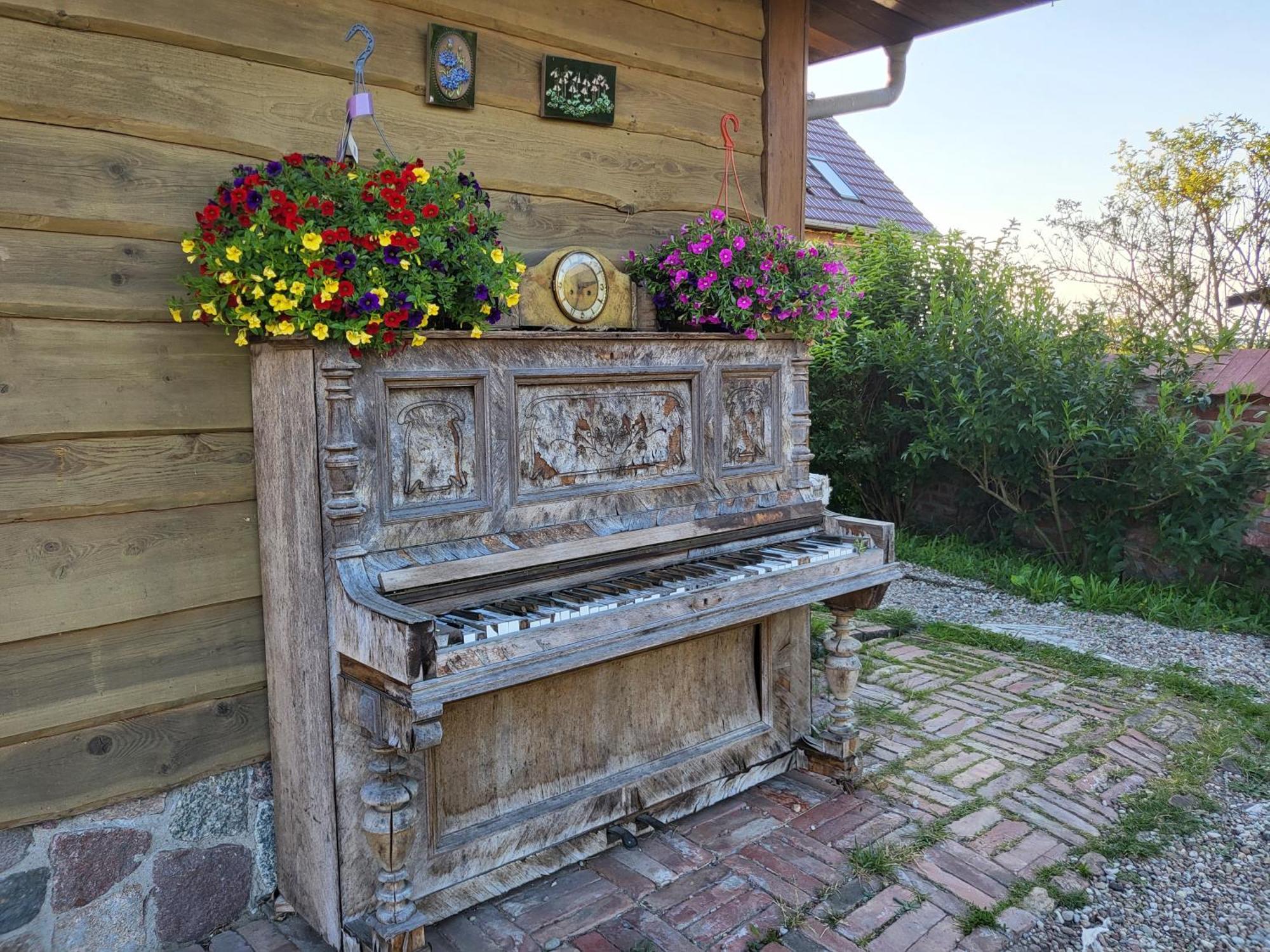 Dom Goscinny Ptaszarnia - Natura-Free Parking Świnoujście Esterno foto