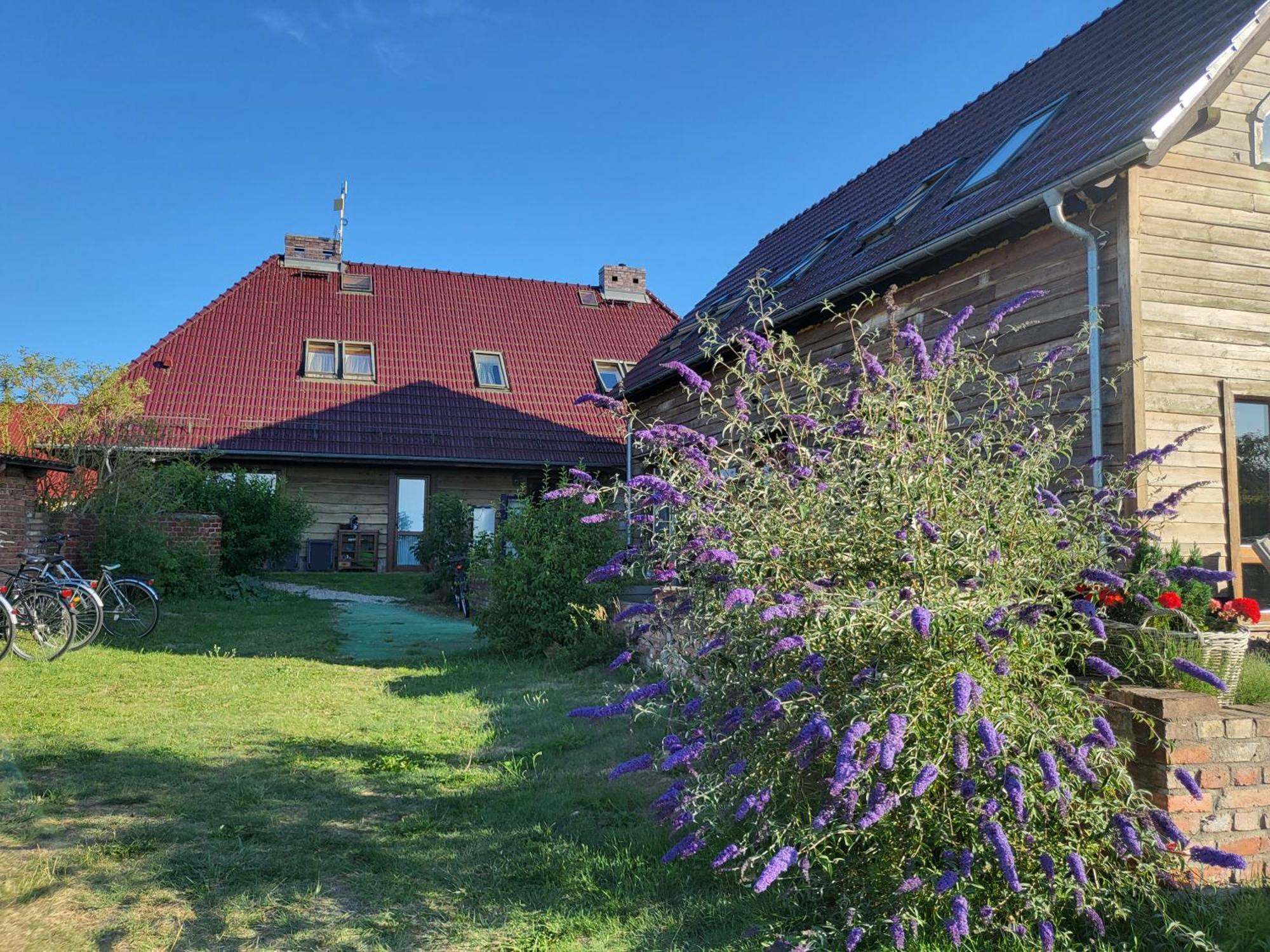 Dom Goscinny Ptaszarnia - Natura-Free Parking Świnoujście Esterno foto