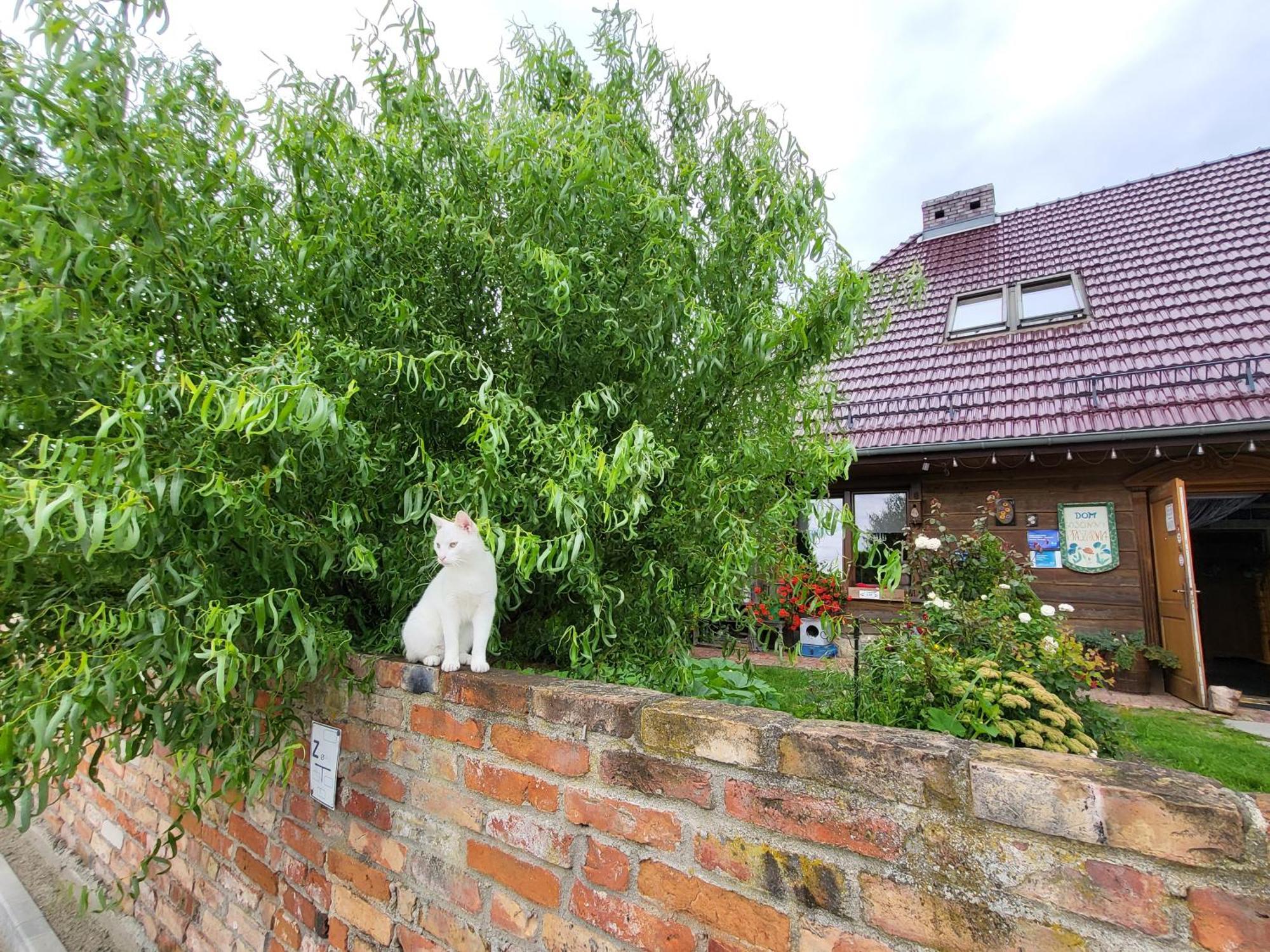 Dom Goscinny Ptaszarnia - Natura-Free Parking Świnoujście Esterno foto
